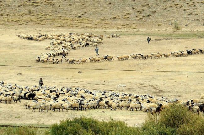 Göçerlerin Şanlıurfa'ya zorlu dönüş yolculuğu